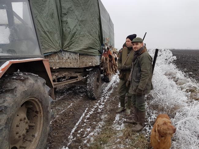 2016. december 18. - Vadászat